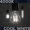 Luxrite A19 LED Edison Light Bulbs 12W 100W Equivalent 1600LM 4000K Cool White Dimmable E26 Base, 2PK LR21662-2PK - alternate 7